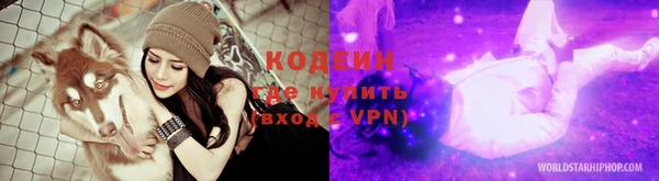 хмурый Алексин