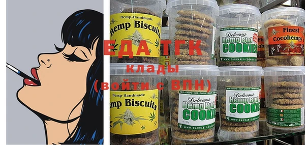 хмурый Алексин