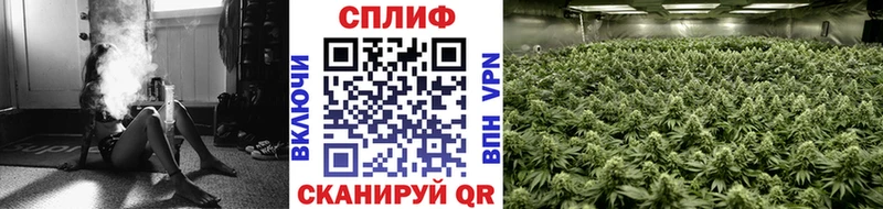 Бошки марихуана тримм Апатиты
